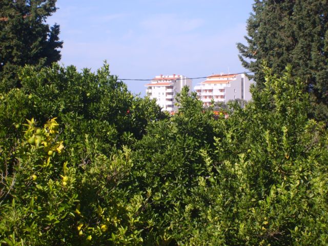 POGLED.JPG